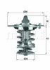 NISSA 2120057J10 Thermostat, coolant